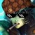 Pacadian :iconpacadian: