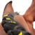 PadishahMisty :iconpadishahmisty: