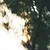 DeviantArt profile picture for @pain on DeviantArt