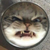 PaintedLiger :iconpaintedliger: