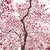 :iconpalepinkblossomdraws: