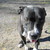 PanicByNumbers :iconpanicbynumbers: