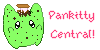 PanKitty-Central's avatar
