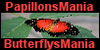 PapillonsMania's avatar