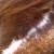 parataxic :iconparataxic: