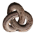 DeviantArt profile picture for @pARTicular on DeviantArt
