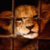 DeviantArt profile picture for @parties on DeviantArt