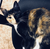 patoomart :iconpatoomart: