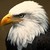 patriotpride :iconpatriotpride: