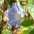 PeaceLoveAmazingness :iconpeaceloveamazingness: