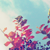 PeachyFish :iconpeachyfish: