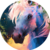 PegaNeko :iconpeganeko: