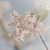 peggychen25 :iconpeggychen25: