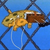 DeviantArt profile picture for @Penalties on DeviantArt