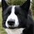 Pencil-White :iconpencil-white: