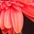 DeviantArt profile picture for @Pendant on DeviantArt