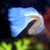 Pendlera :iconpendlera: