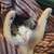 penguins-sid-the-kid :iconpenguins-sid-the-kid: