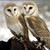 PepperOwl91 :iconpepperowl91:
