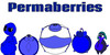 Permaberries's avatar