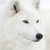 PeskyPegasus :iconpeskypegasus: