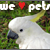 Pet-artists-club's avatar