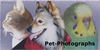 Pet-Photographs's avatar