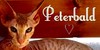 Peterbald-Fanclub's avatar