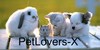 PetLovers-X's avatar