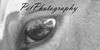 PetPhotography's avatar