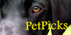 :iconpetpicks: