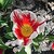 phillipp9 :iconphillipp9: