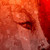 Phoinixe :iconphoinixe:
