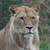 PhotoChap :iconphotochap: