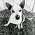 photogirlchy :iconphotogirlchy: