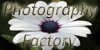 Photography-Factory's avatar