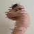 :iconpiccolamodestia: