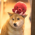 Piikaachuuw :iconpiikaachuuw: