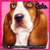 pinkpunkglittery :iconpinkpunkglittery: