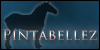 Pintabellez's avatar