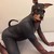 pistolknight :iconpistolknight: