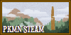 :iconpkmn-steam: