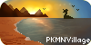 PKMNVillage's avatar