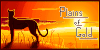 Plains-of-Gold's avatar