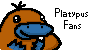 Platypus-Fans's avatar