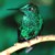 pncwho :iconpncwho:
