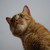 PocketFullofColors :iconpocketfullofcolors: