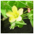 DeviantArt profile picture for @poems on DeviantArt