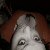 PoisonedRomantic :iconpoisonedromantic: