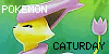 pokemon-caturday's avatar